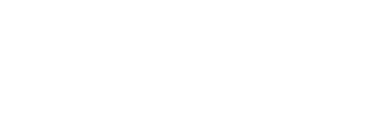 Allient New Zealand logo